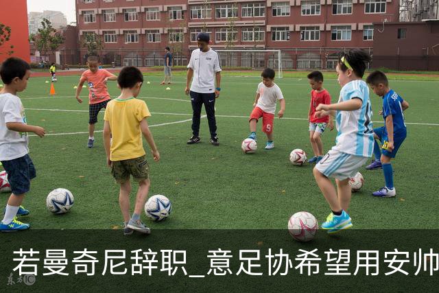 若曼奇尼辞职 意足协希望用安帅或卡纳瓦罗替代